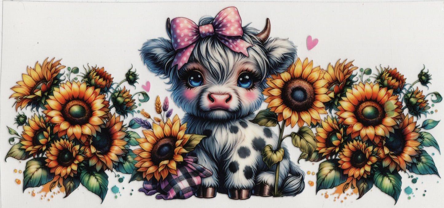 Highland Cows - Western Wraps