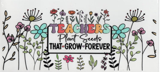 Teacher  - Career Wraps