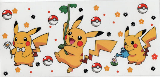 Pokemon - Cartoon Wraps