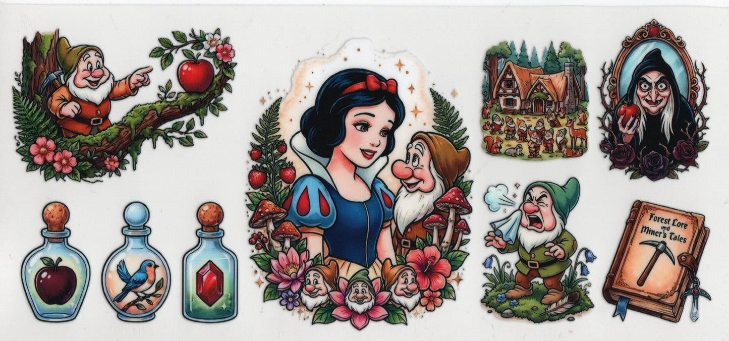 Princess Wraps - Disney Wraps