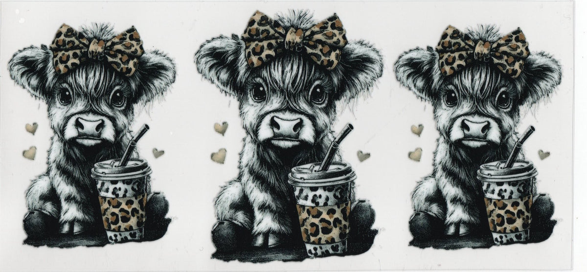 Highland Cows - Western Wraps