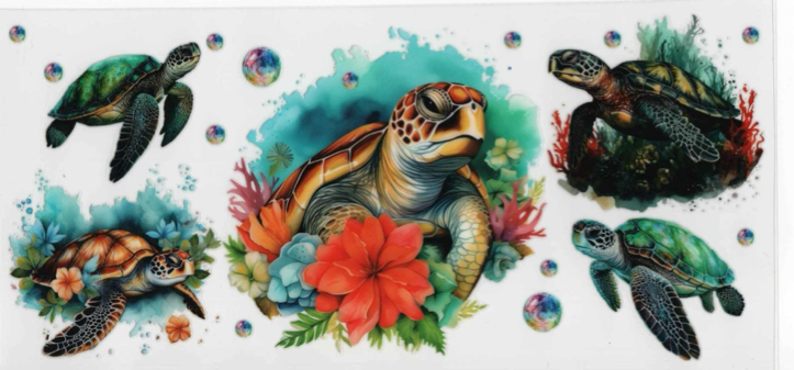 Turtles - Summer Wraps