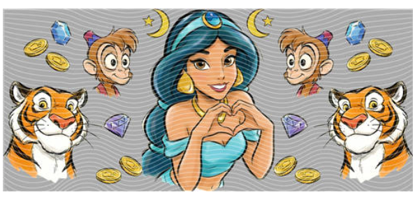 Princess Wraps - Disney Wraps